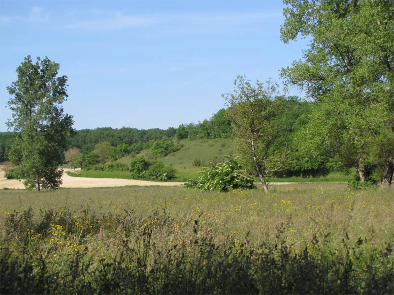 Les Pelouses sèches