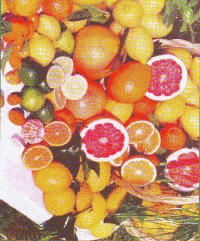 Pépinieres Dufau Michel