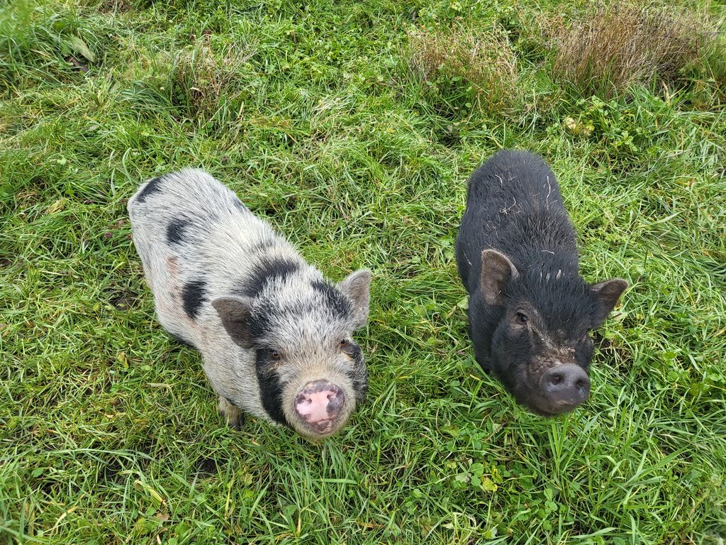 La Ferme à Roulettes