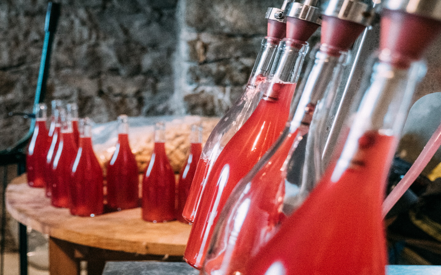 Vins Egiategia