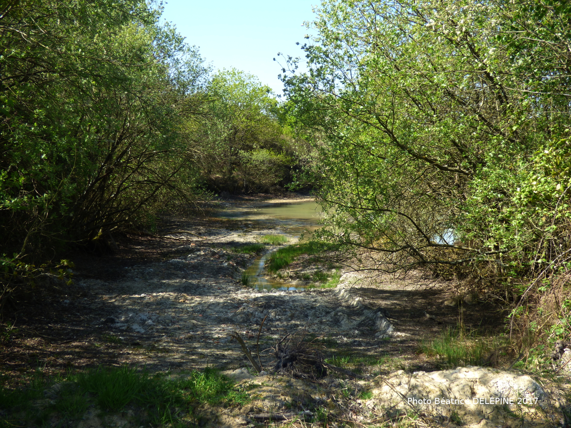 Les communaux de l'Hôpiteau