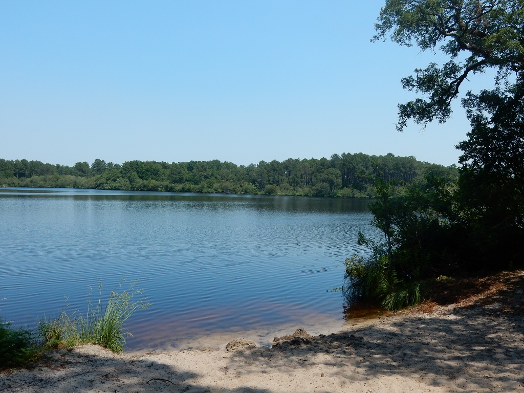 Etang de Moliets