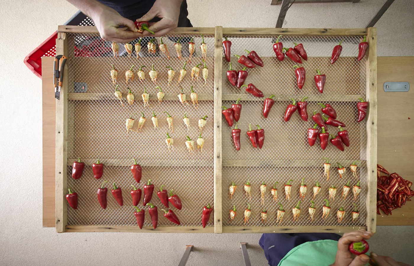 Atelier du Piment