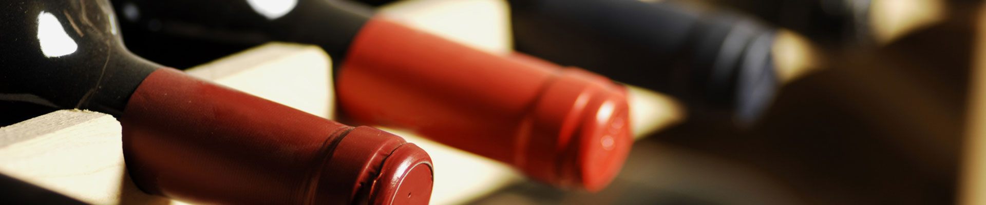 Établissements Pinque - photo 3