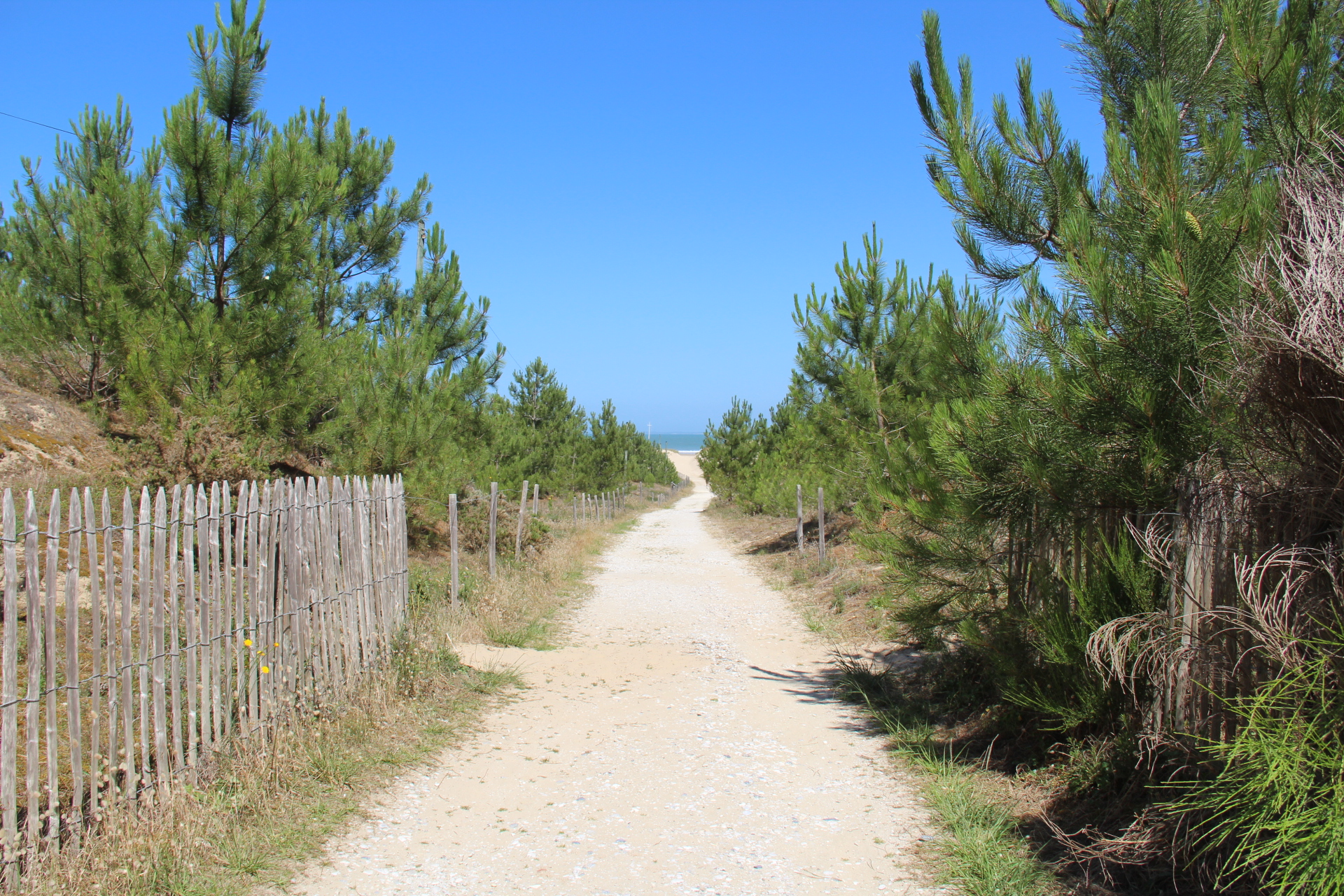 Plage surveillée de Saint-Nicolas