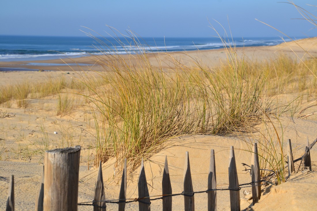 Plage Centrale de Moliets-et-Maâ