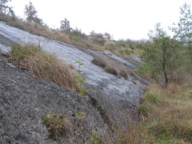 Sentier de découverte du plateau d'Argentine