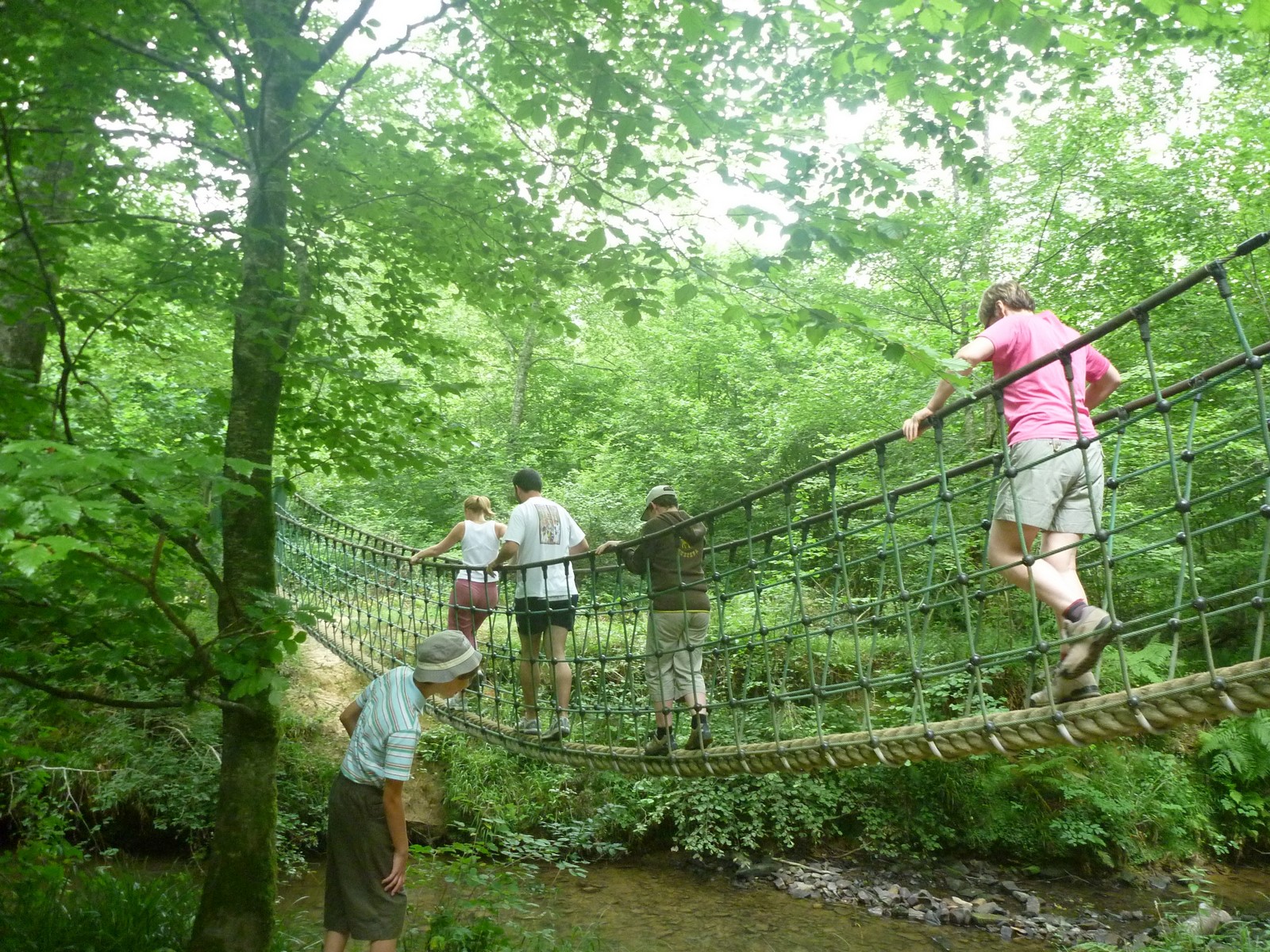 Bois de Mixe