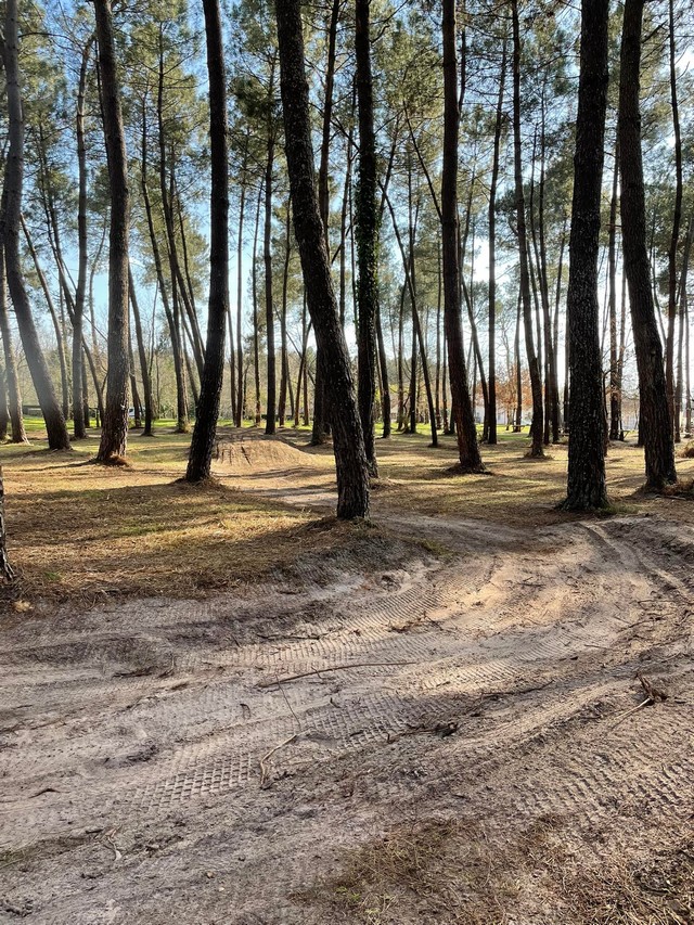 Pumptrack