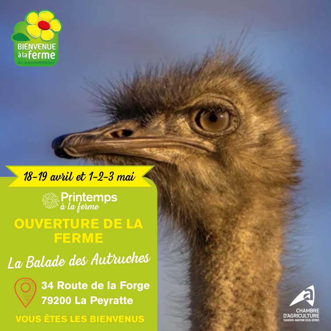 PRINTEMPS A LA FERME - La Balade des Autruches - Portes ouvertes