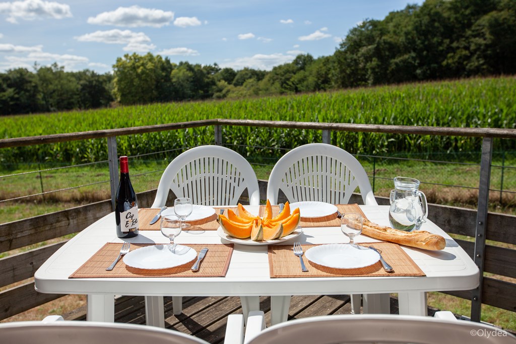 Olydea la Chalosse, Cassen - photo 16