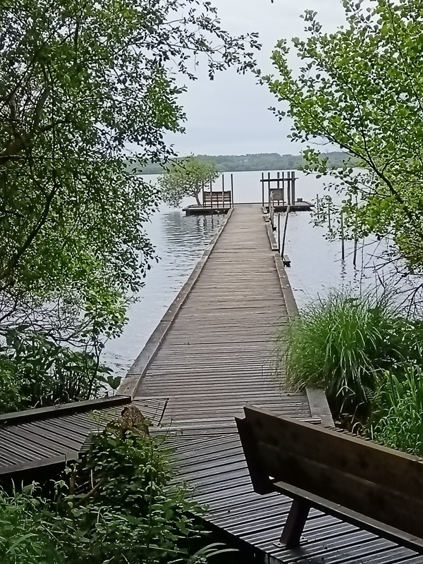 Réserve Naturelle Nationale de l'Étang de la Mazière