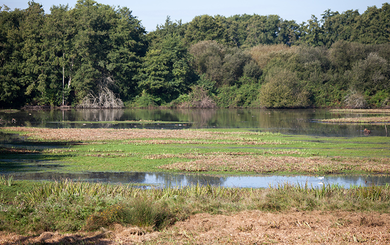 Réserve naturelle nationale des Marais de Bruges