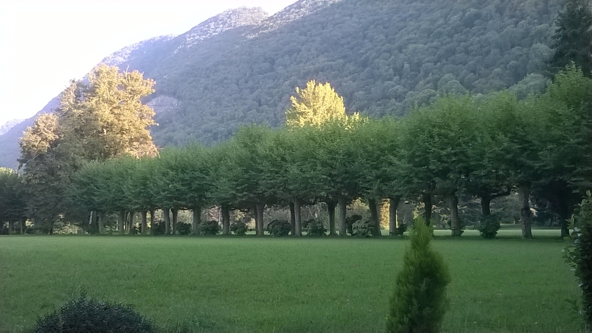 Résidence du Parc, Lurbe-Saint-Christau - photo 6