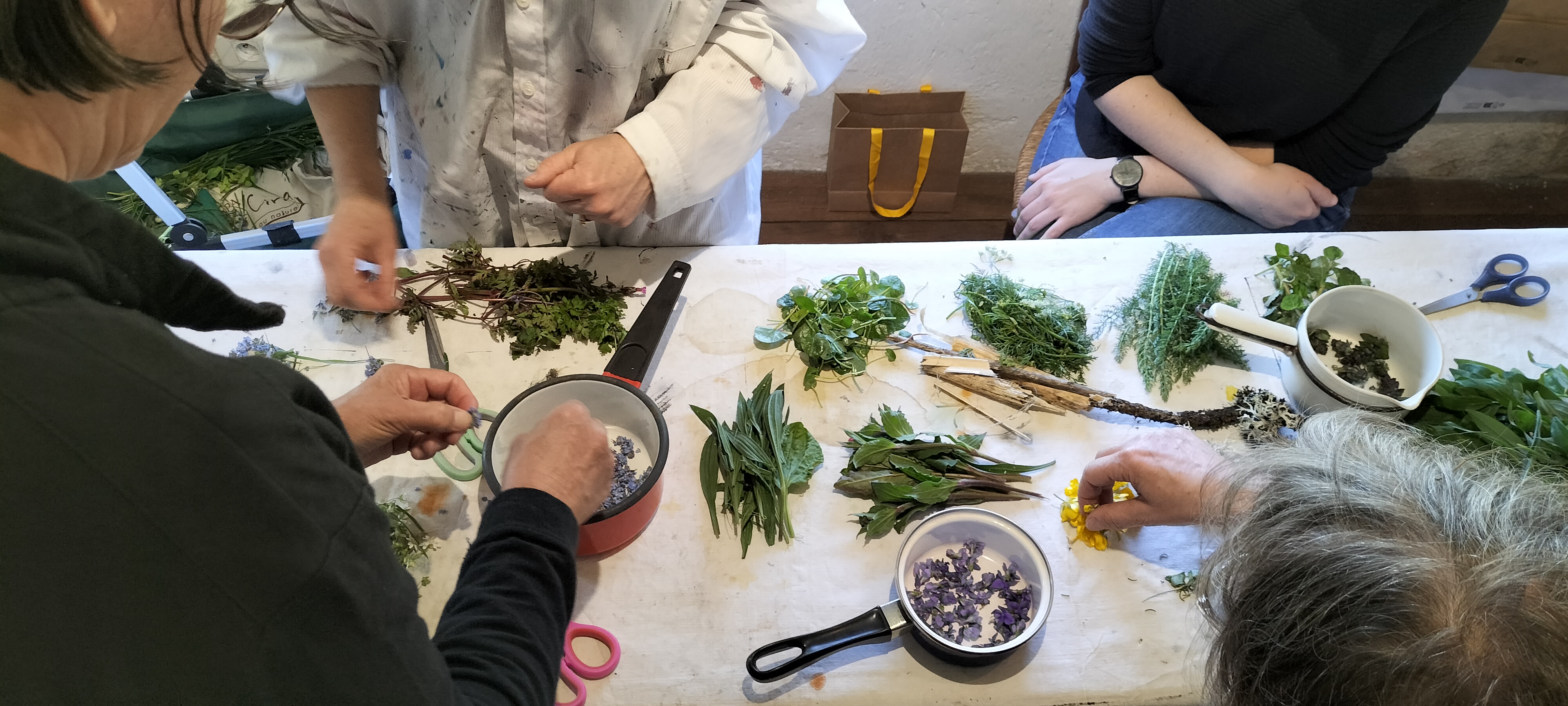 Atelier Exploration Tinctoriale d'Isabelle Collett