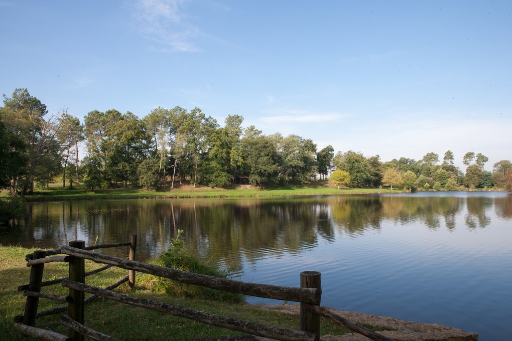 Etang de pêche de Sainte Foy