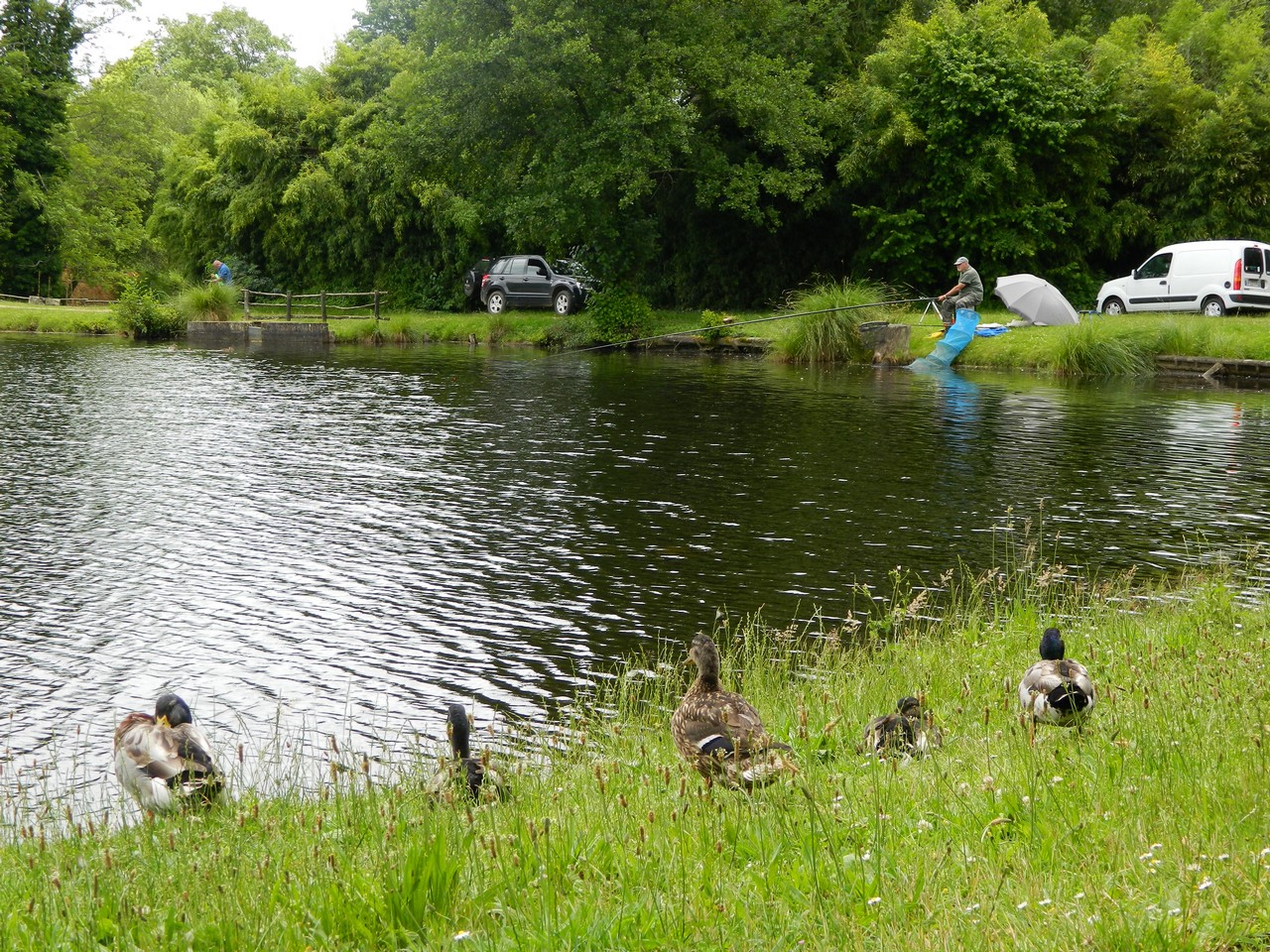 Etang classé de Sainte-Foy