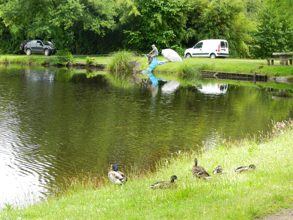 Etang de pêche de Sainte Foy