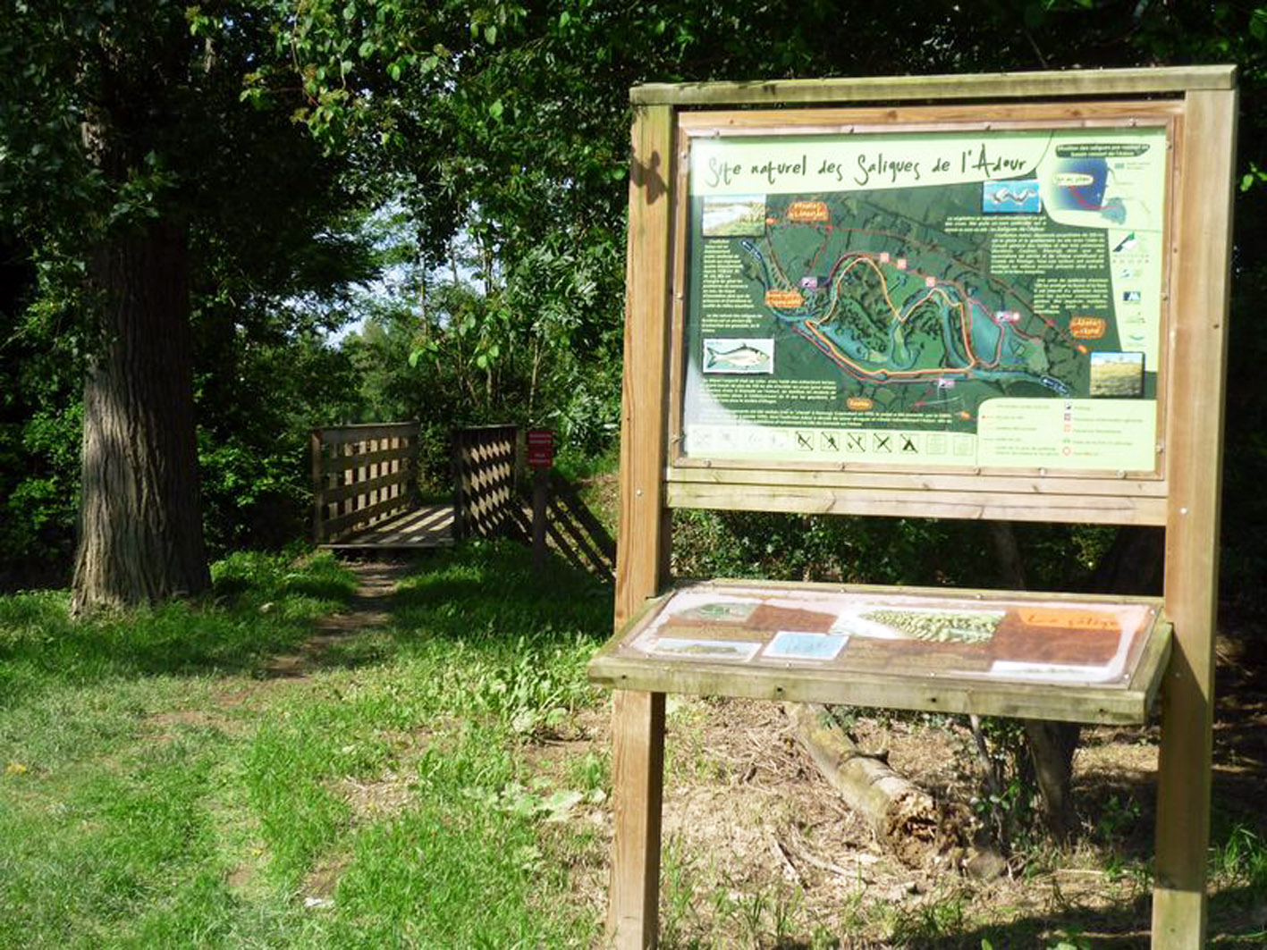 Les Saligues de l'Adour