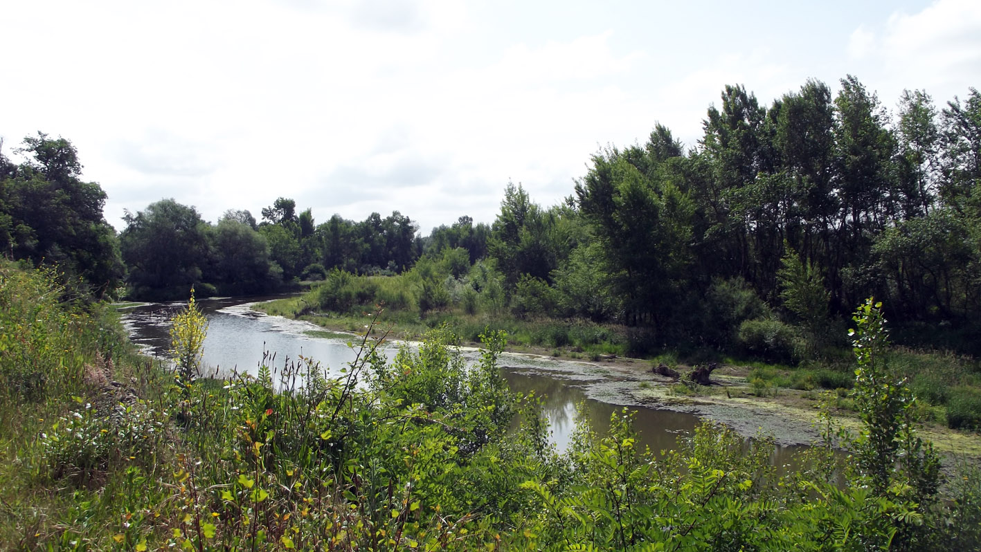 Les Saligues de l'Adour