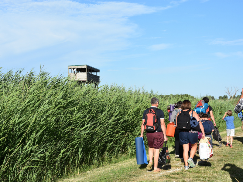 Terres d'Oiseaux - parc ornithologique