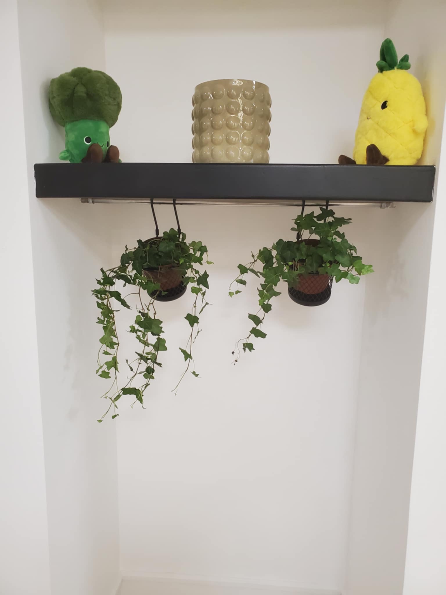 Club Nutriforme, La Souterraine - photo 5