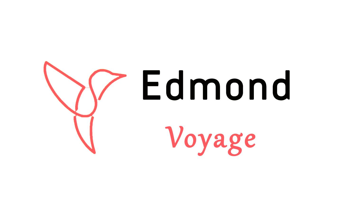 Bagage Edmond Voyage - photo 2