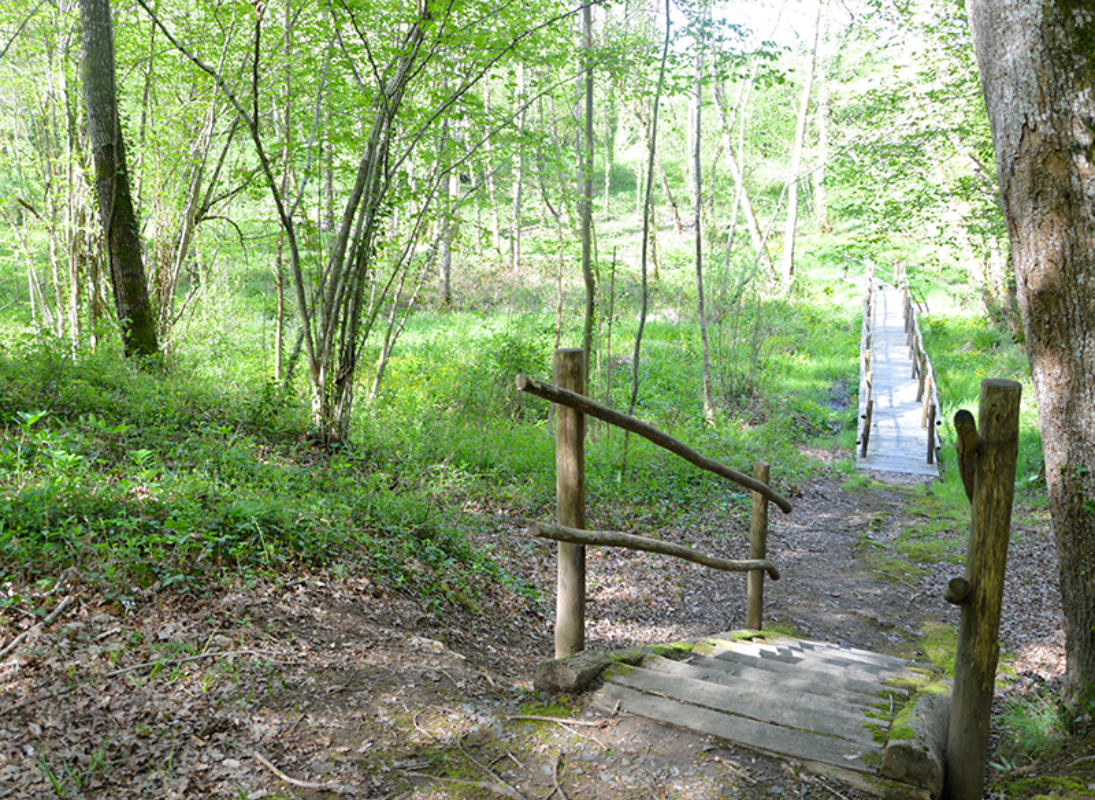 Sentier Musical