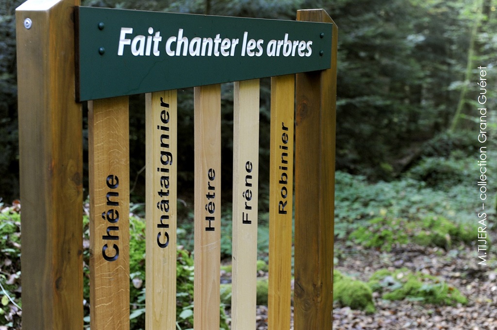 Sentier découverte de la Forêt de Chabrières