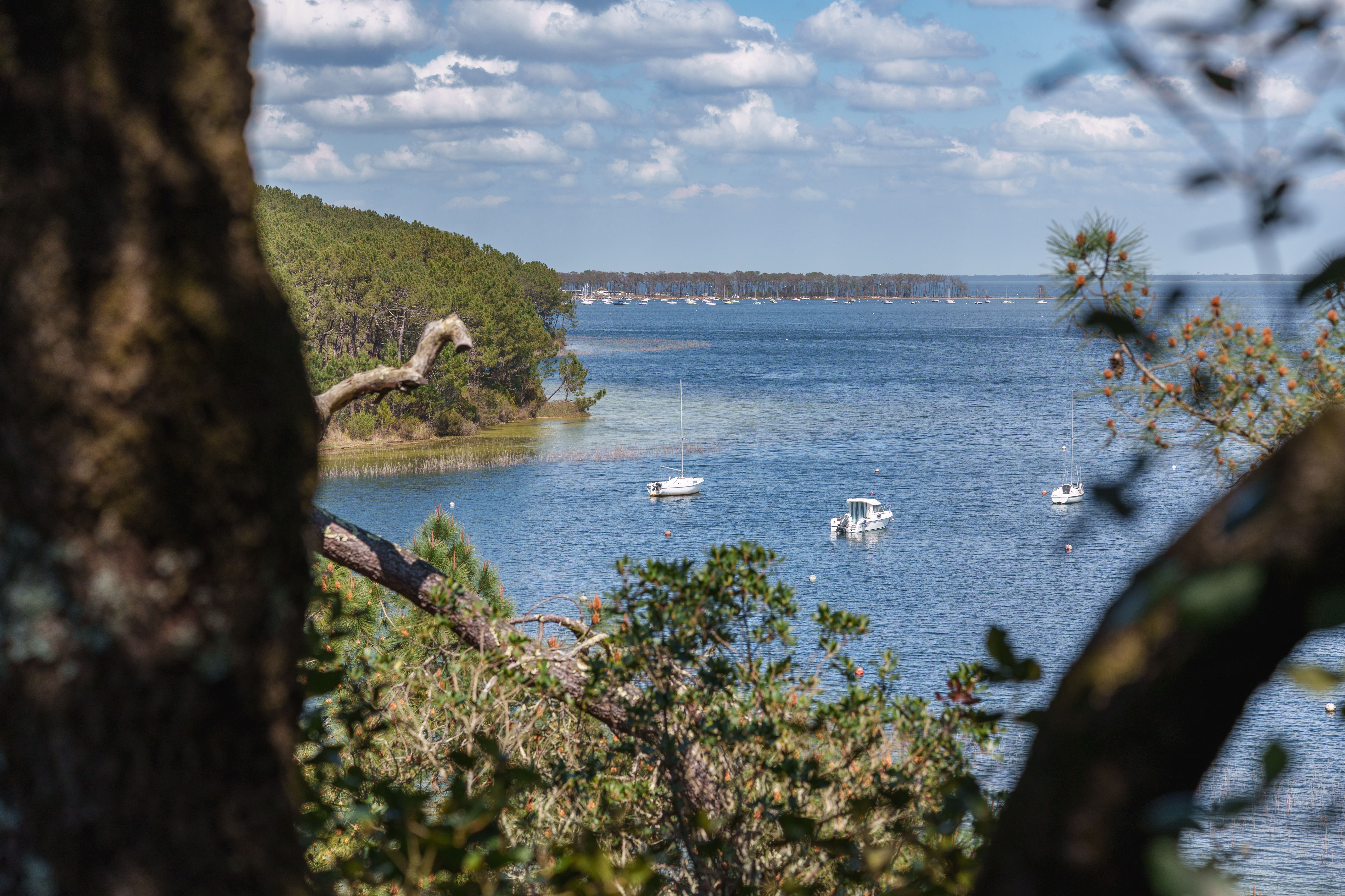 Lac de Hourtin-Carcans