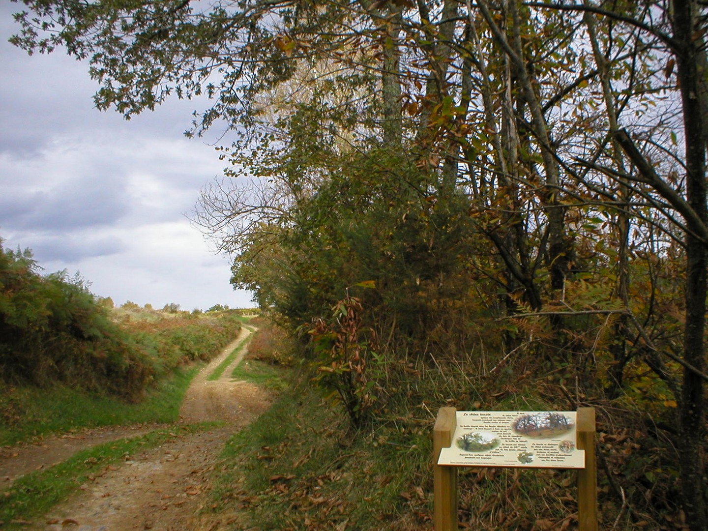 Sentier de découverte du Laring
