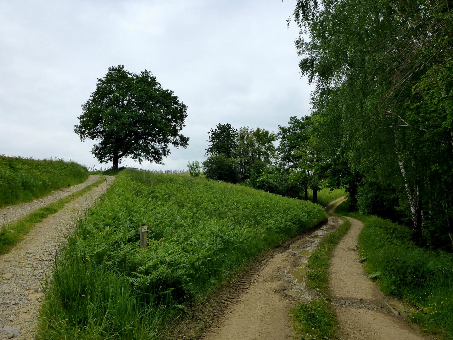 Sentier de découverte du Laring