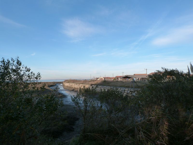 Le sentier du littoral de Gujan-Mestras