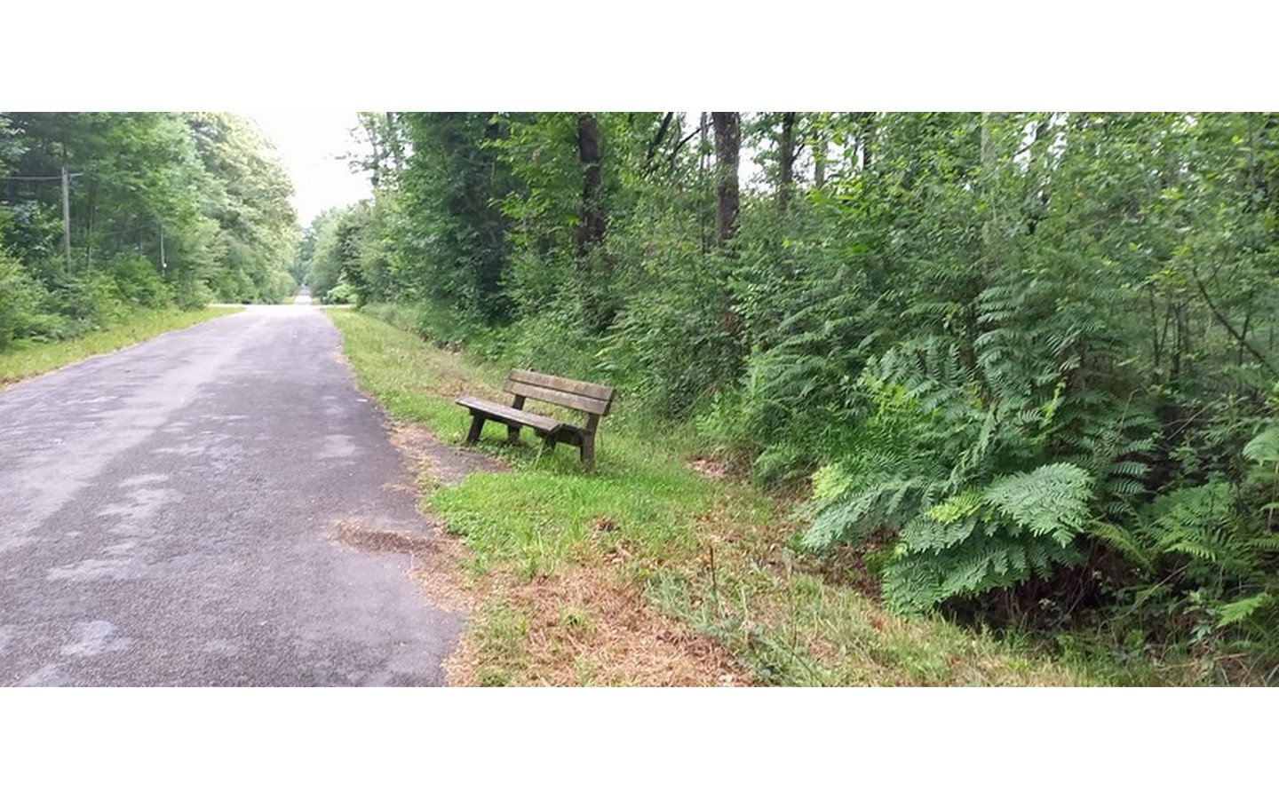 Sentier accessible du bois de Pau