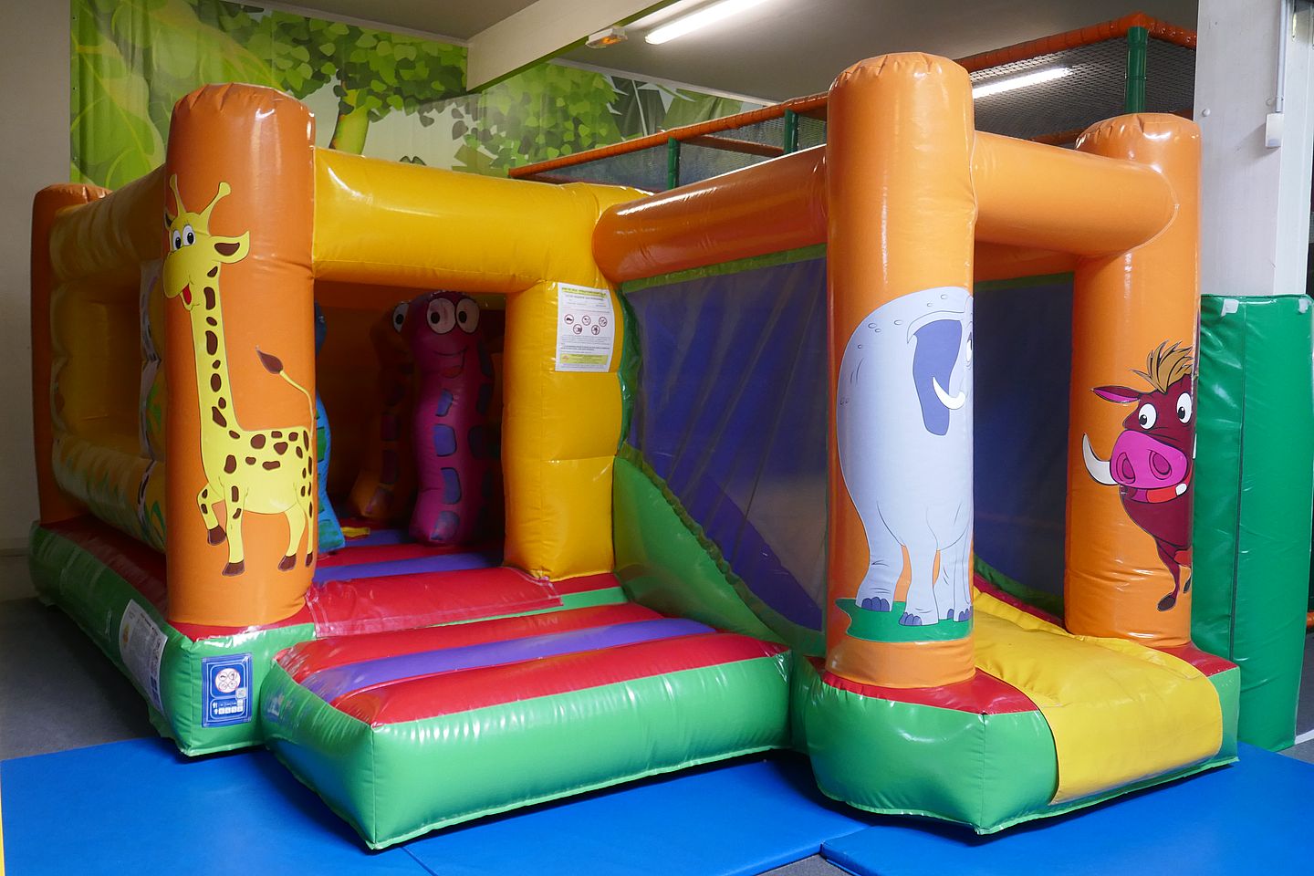 Acrojungle Indoor