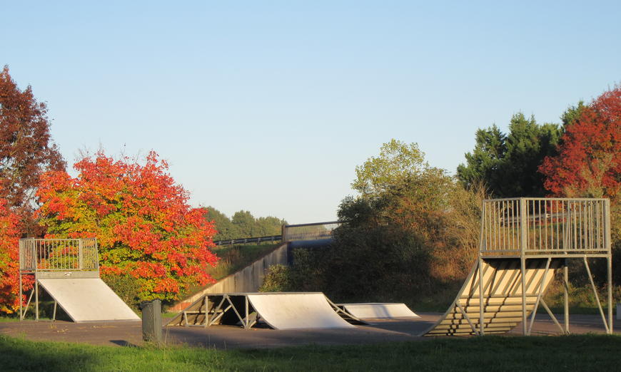Skate Park - Tartas