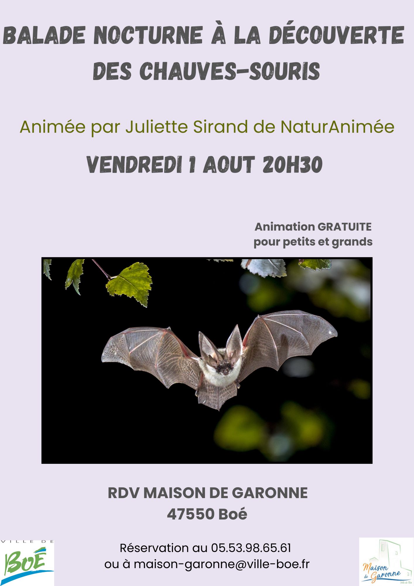 Balade nocturne à la découverte des chauves-souris