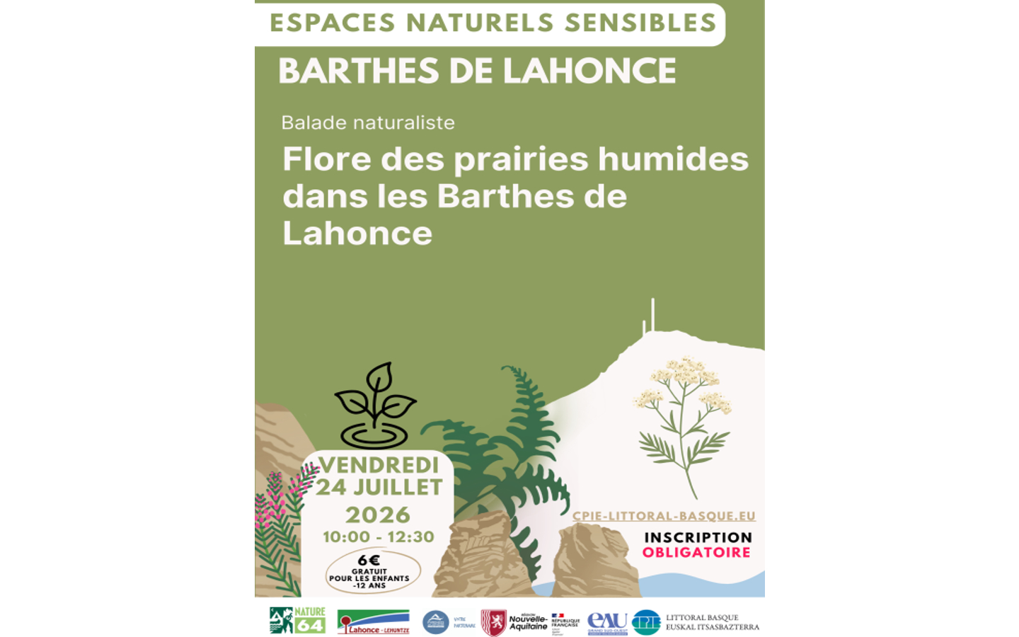 Sortie nature - flore des prairies humides
