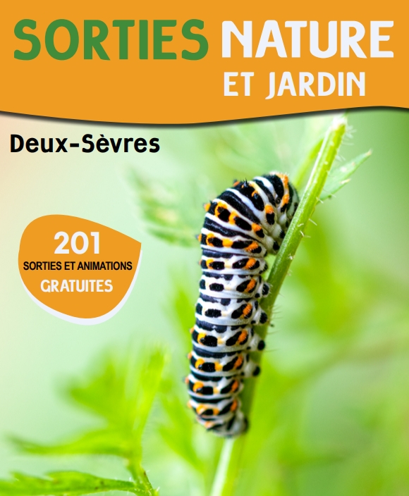Sortie nature - Découvrez les saules des bords de Sèvre