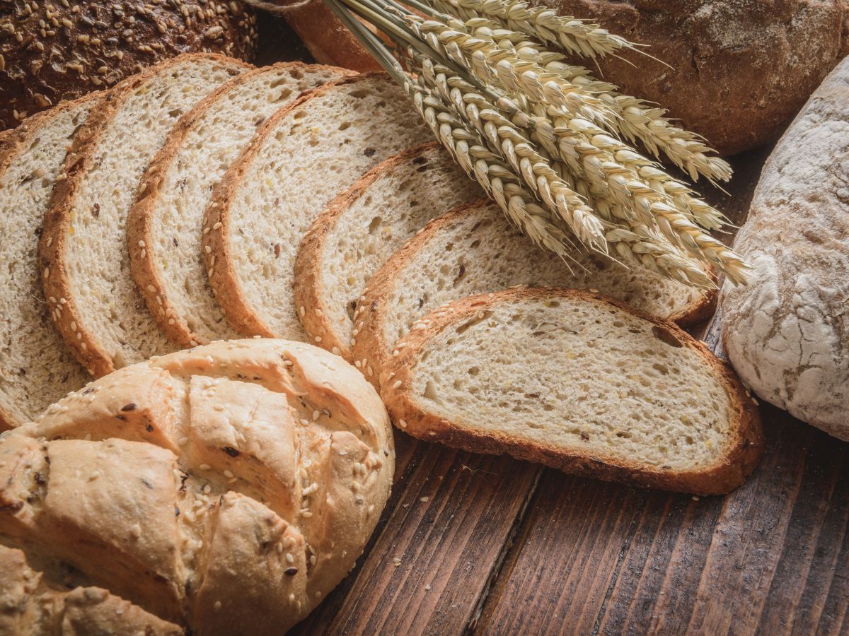 Aux délices des petits choux