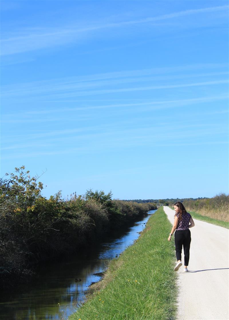 Talais - © Médoc Atlantique (1)