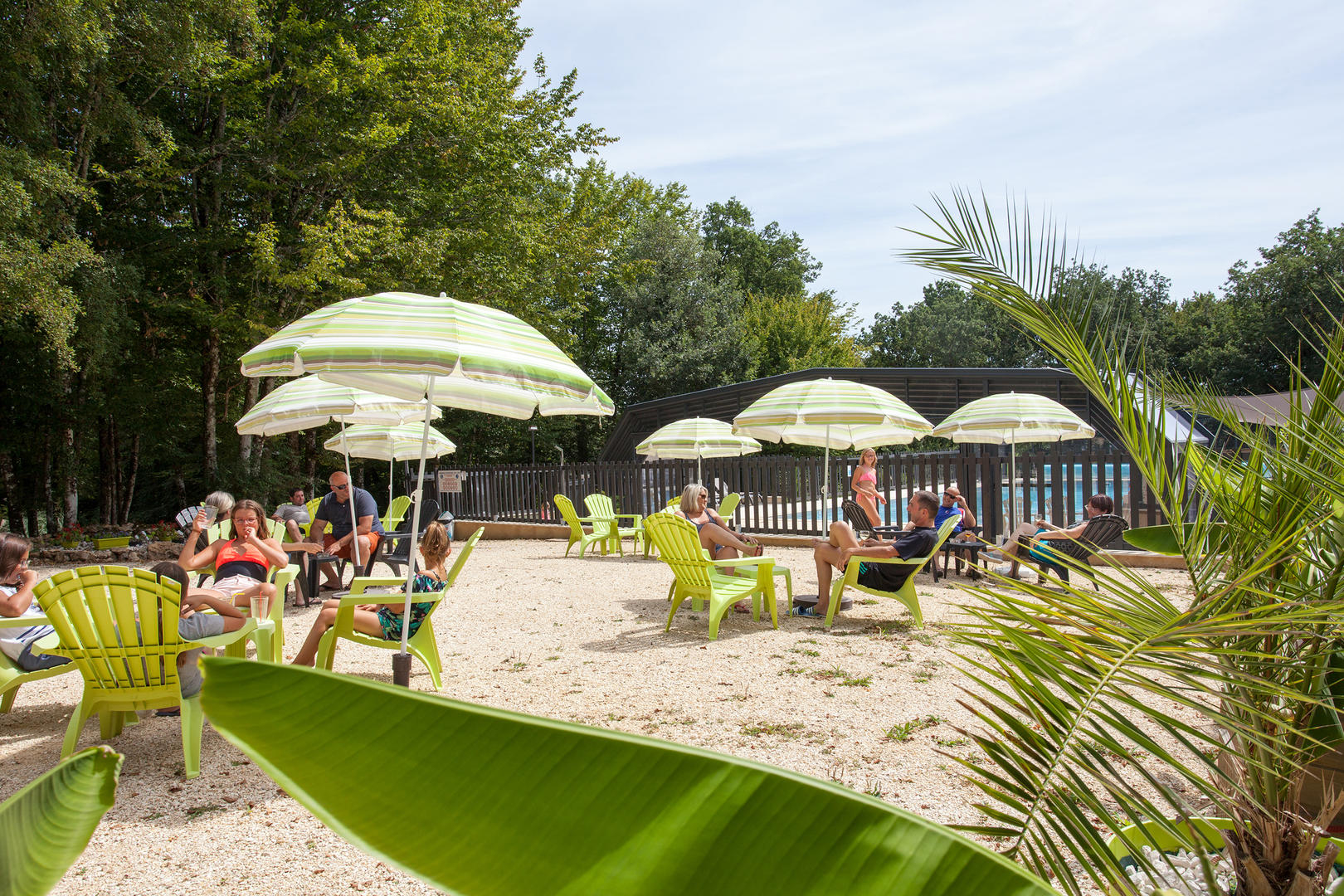 Les Hauts de Calviac, Calviac-en-Périgord - photo 5