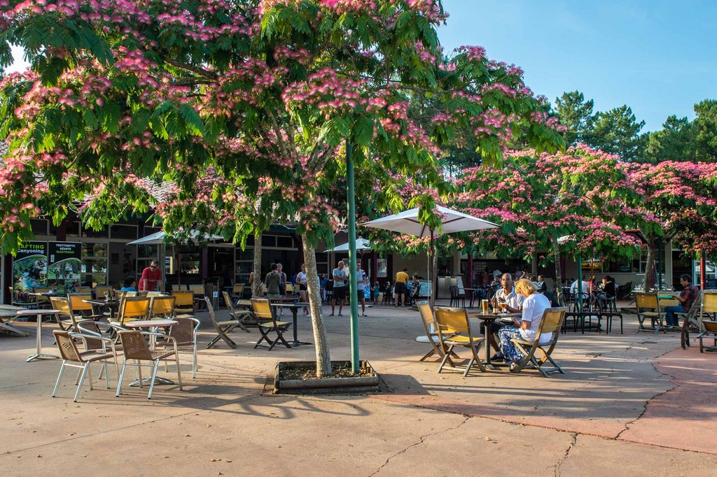 Village vacances Le lac Marin - ARTES - photo 5