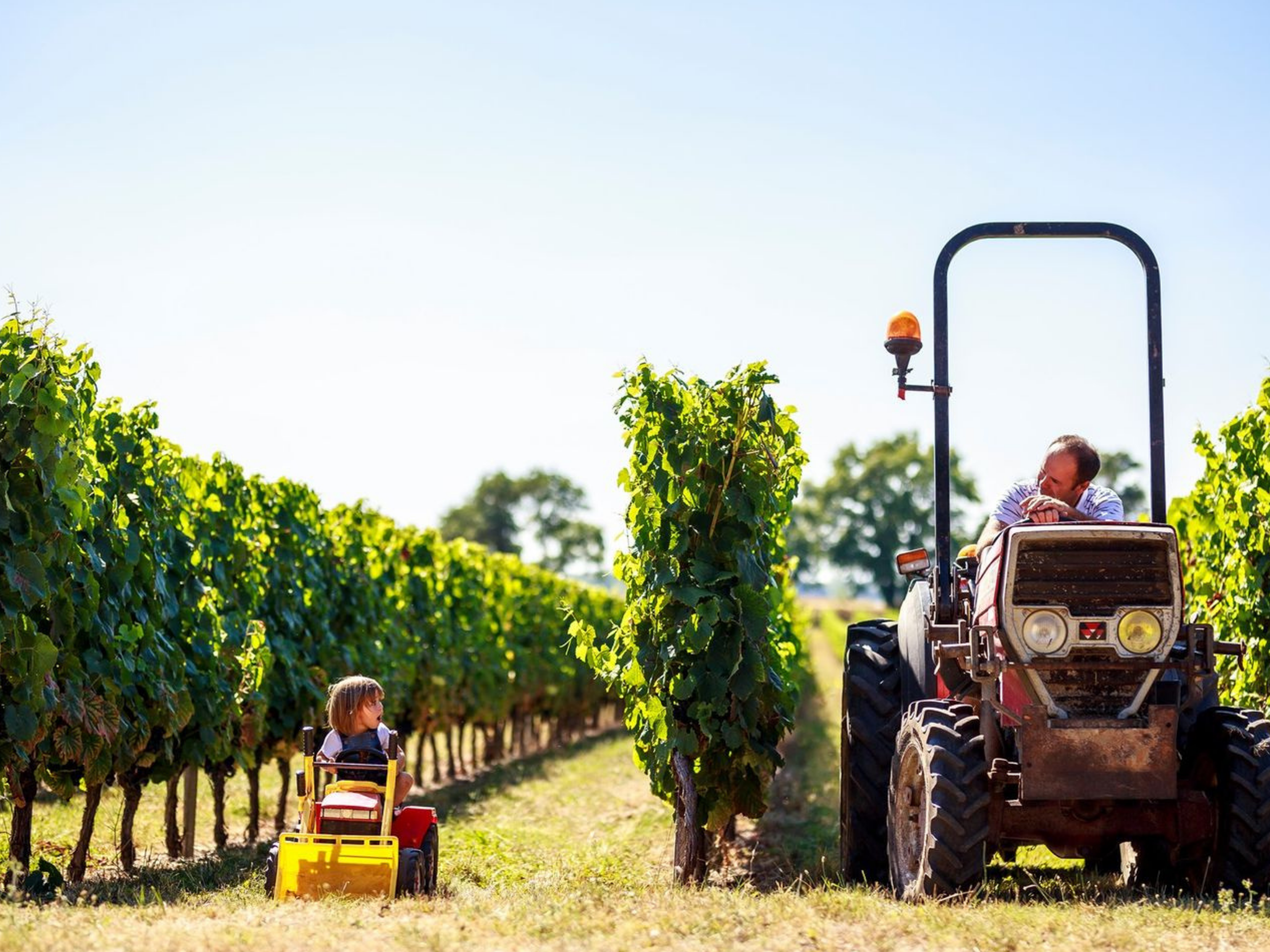 Le potager de Bacchus