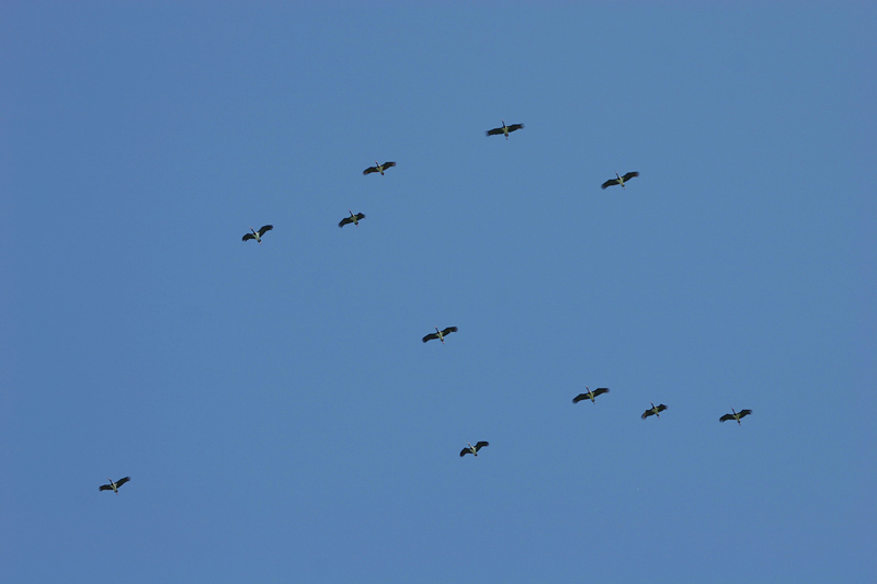 La Redoute de Lindux