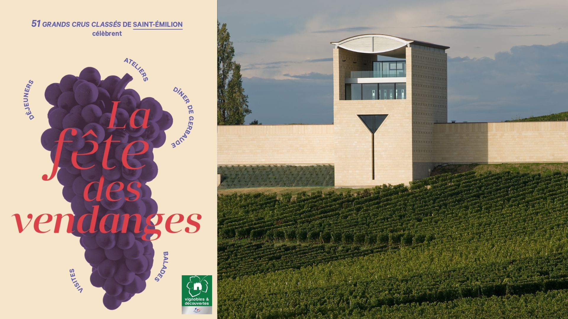VENDANGES D'ANTAN - VIVEZ L'HÉRITAGE D'UNE PARCELLE CENTENAIRE AU CHÂTEAU FAUGÈRES
