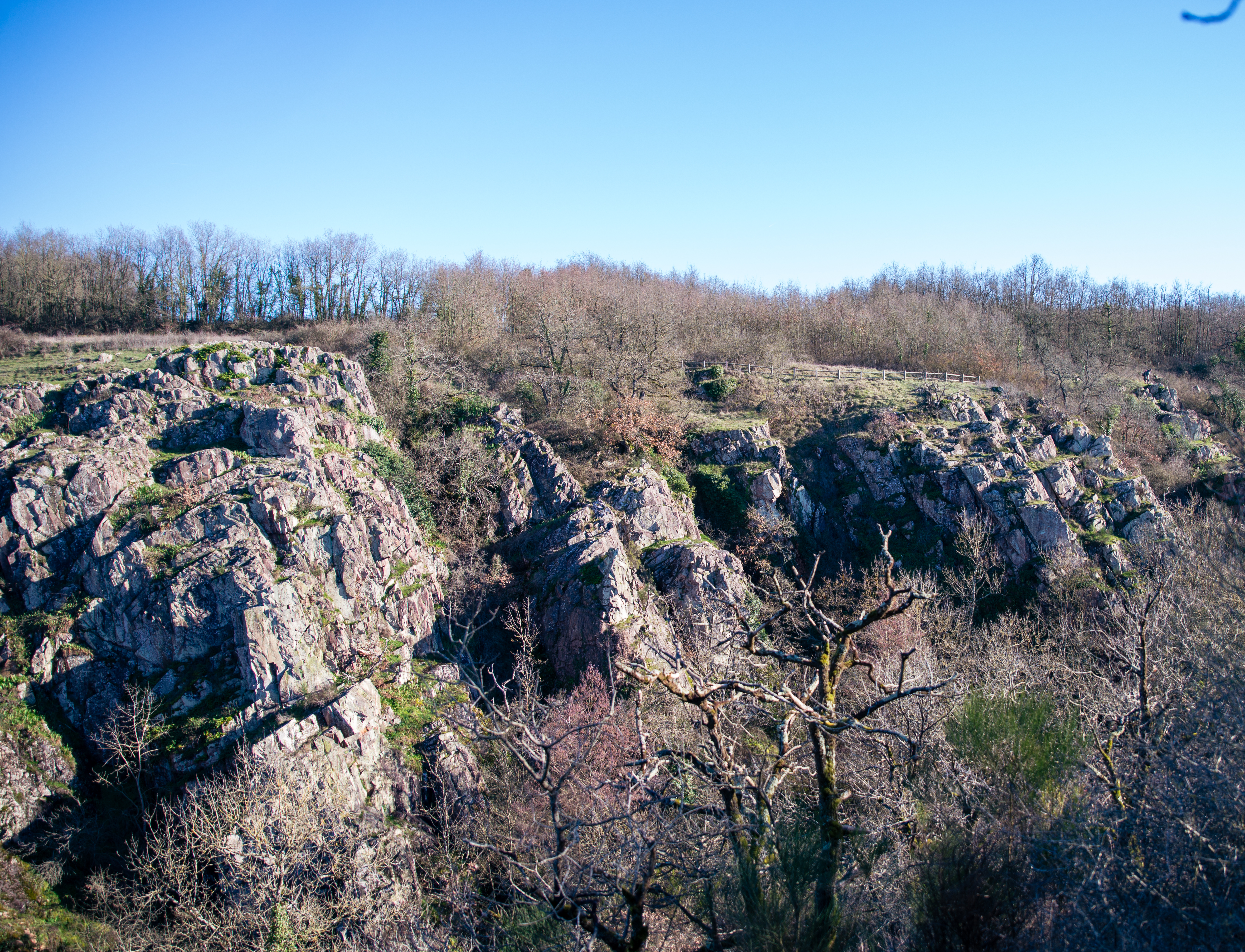 La Réserve Naturelle Régionale de la Vallée du Pressoir