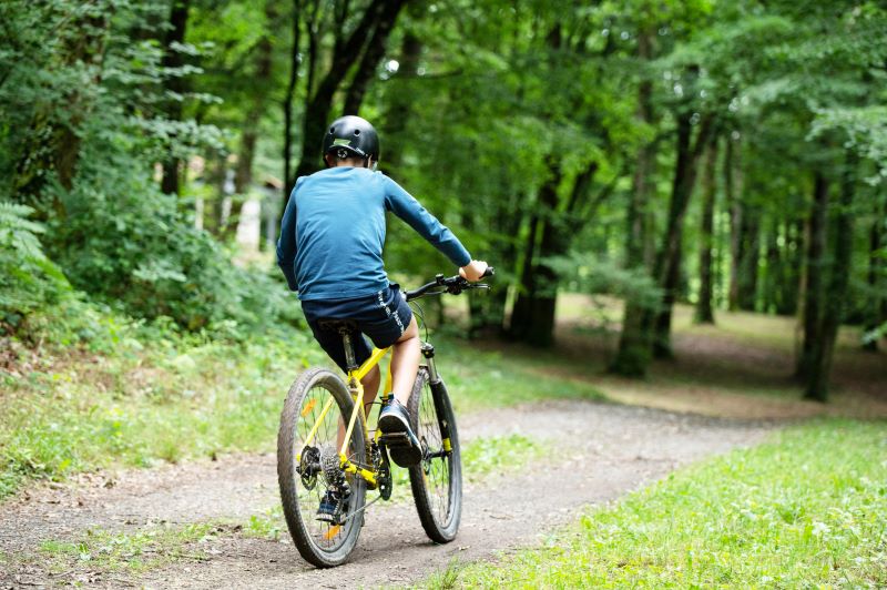 VTT - DSC_6857 - Dan Courtice