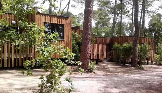 VVF Club Intense Le Cap Ferret, Lège-Cap-Ferret - photo 4