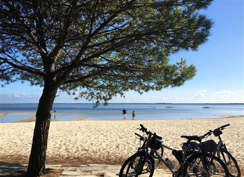 Vélo Carcans - © Médoc Atlantique.jpg